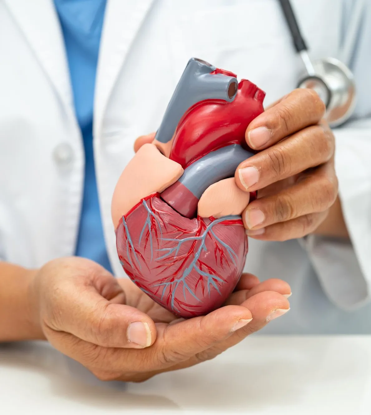 Cardiologia especializada coahuila